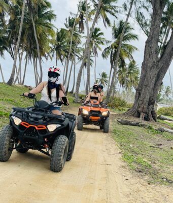 Sobre Laguna Beach Buggies