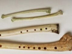 La Evolución de la Música a Través del Tiempo y la Cultura