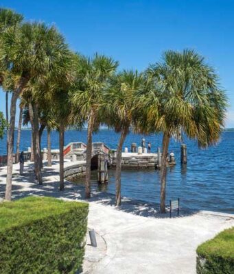 Saona Island Day Trip From Punta Cana