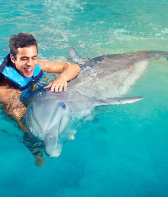 Dolphin Discovery in Punta Cana dolphin discovery