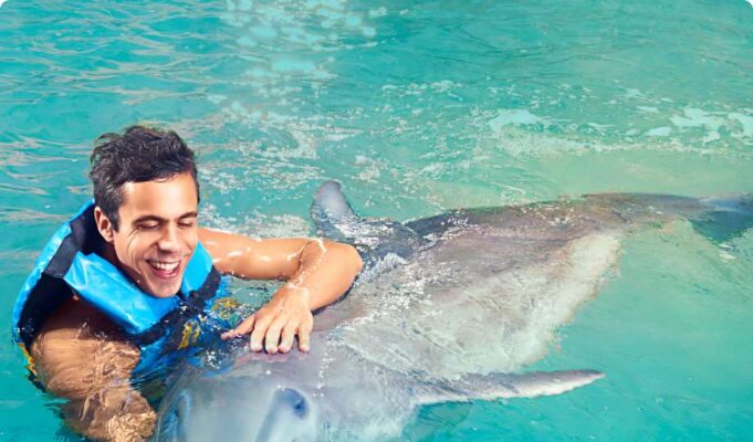 Dolphin Discovery in Punta Cana dolphin discovery