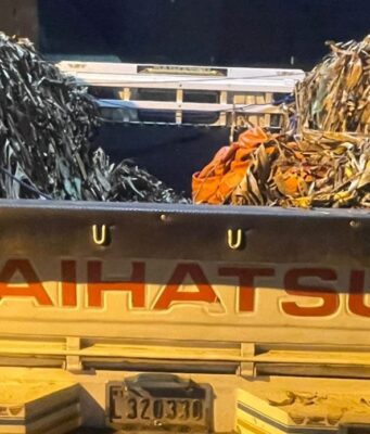 38 Haitianos Escondidos en un Camión