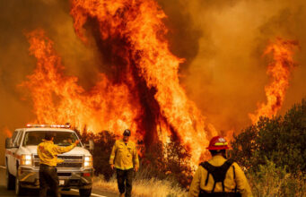 Los Incendios Forestales en Los Ángeles: Lecciones para el Caribe y el Mundo Incendio en los angeles