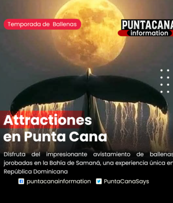 Avistamiento de Ballenas en Samaná Bay avistamiento de ballenas