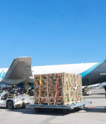Amazon en República Dominicana Amazon en República Dominicana