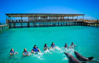 Nada con delfines en Punta Cana