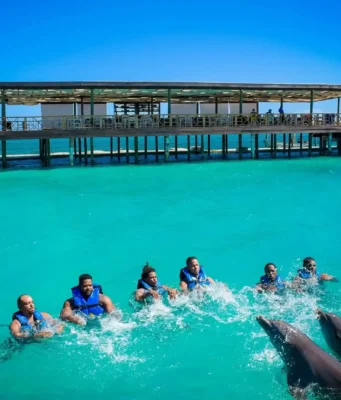 Nada con delfines en Punta Cana