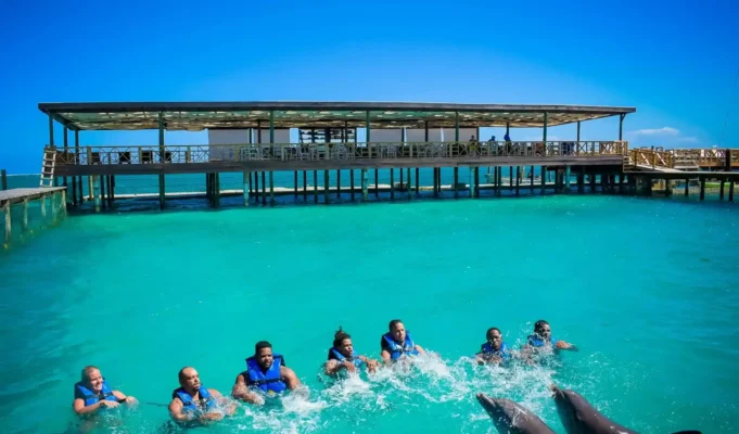 Nada con delfines en Punta Cana