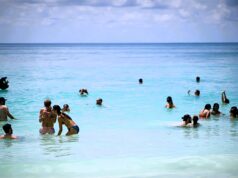 Best Saona Island Excursion for Snorkeling saona island time