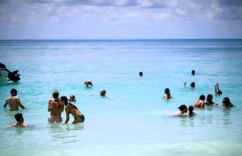 Best Saona Island Excursion for Snorkeling saona island time