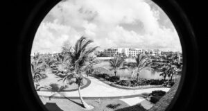 ALIM 2026 llevará a Punta Cana una agenda de industria, logística e inteligencia artificial Jardines del Hard Rock Hotel Punta Cana en una fotografía de archivo de 2013