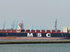 La OMS pide mantener documentos sanitarios marítimos también en formatos no digitales Portacontenedores MSC Sasha en Europoort, Róterdam, fotografía de archivo de agosto de 2016