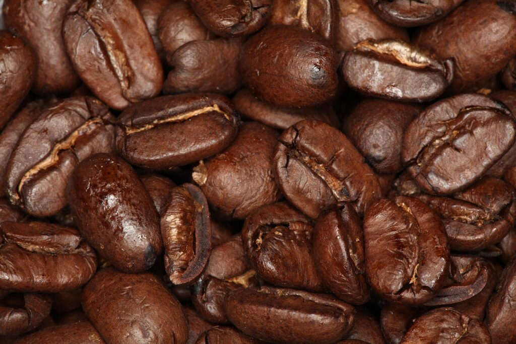 Primer plano de granos de café tostado Maragogype