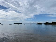Port Samaná mantiene su apertura prevista para el 24 de noviembre Bahía de Samaná en una fotografía de archivo de abril de 2024