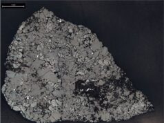 Un meteorito del Sahara conserva pistas de Marte de hace más de 4.100 millones de años Micrografía real de una sección del meteorito Teghaza 001, con escala de un milímetro.